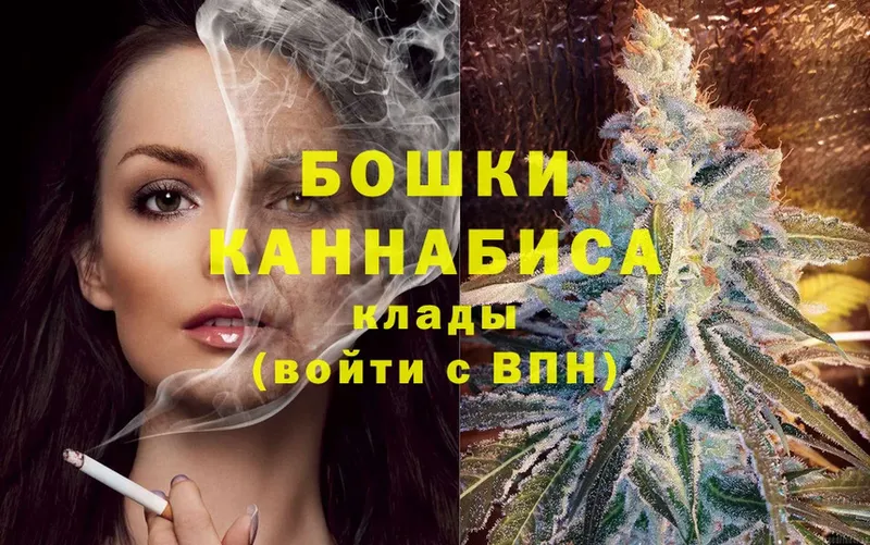 наркота  omg рабочий сайт  Бошки Шишки SATIVA & INDICA  Волгореченск 